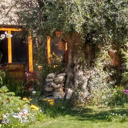 Centrico Y Privado Villa San Rafael  Exterior photo